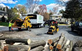 Best Fruit Tree Pruning  in North Arlington, NJ