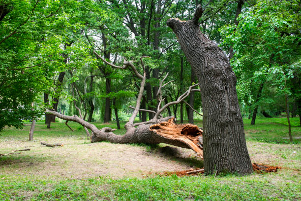 Soil Testing and Treatment in North Arlington, NJ
